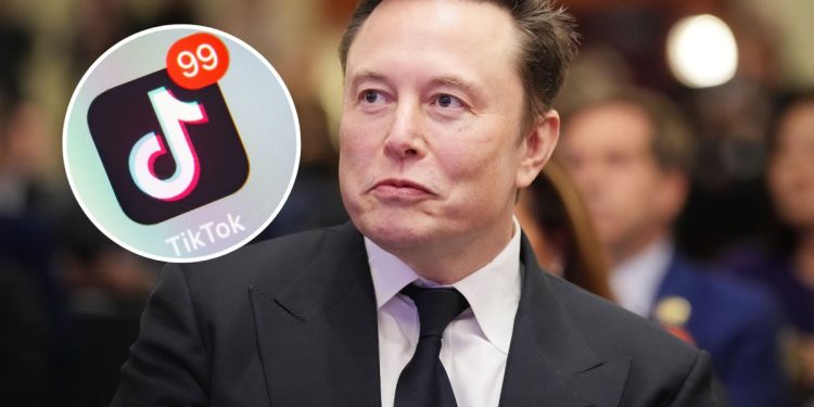 TEKNOLOGJI/  Elon Musk mund të blejë dhe Tik-Tok-un