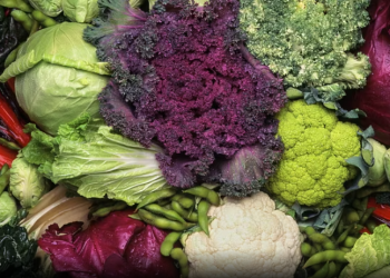 Një mik si lakra, për një imunitet të fortë