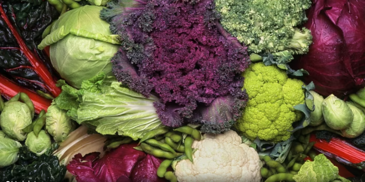 Një mik si lakra, për një imunitet të fortë