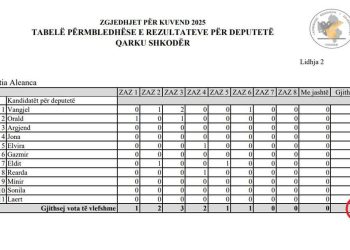 “Pak statistika për zgjedhjet”, nga Afrim Krasniqi