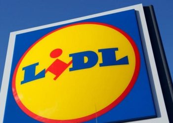 LiDL merr statusin e investitorit strategjik, gjiganti gjerman i supermarketeve do të investojë në Shqipëri 105 mln euro. Çfarë parashikon projekti me 2500 të punësuar